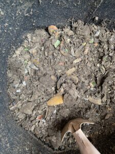 牛乳を入れた後のコンポスト