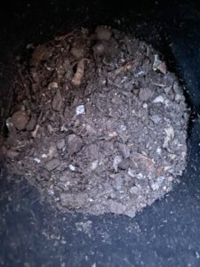 コンポストの中の様子