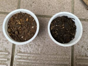 2種類の土で比較したバジル栽培用の土