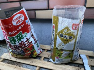じゃがいも袋栽培で土の袋とお米の袋を比較している様子