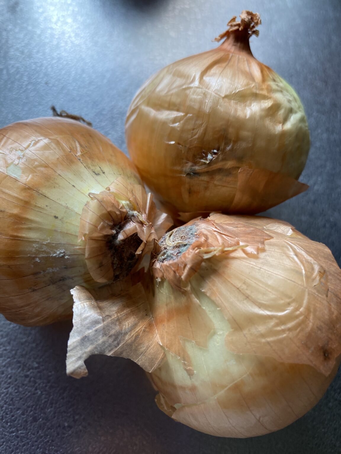 玉ねぎはどこから腐る?見分け方と食べられるかの判断ポイント | はこまな暮らし研究ノート