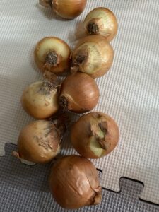 カビがついた玉ねぎ　訳あり商品の状態
